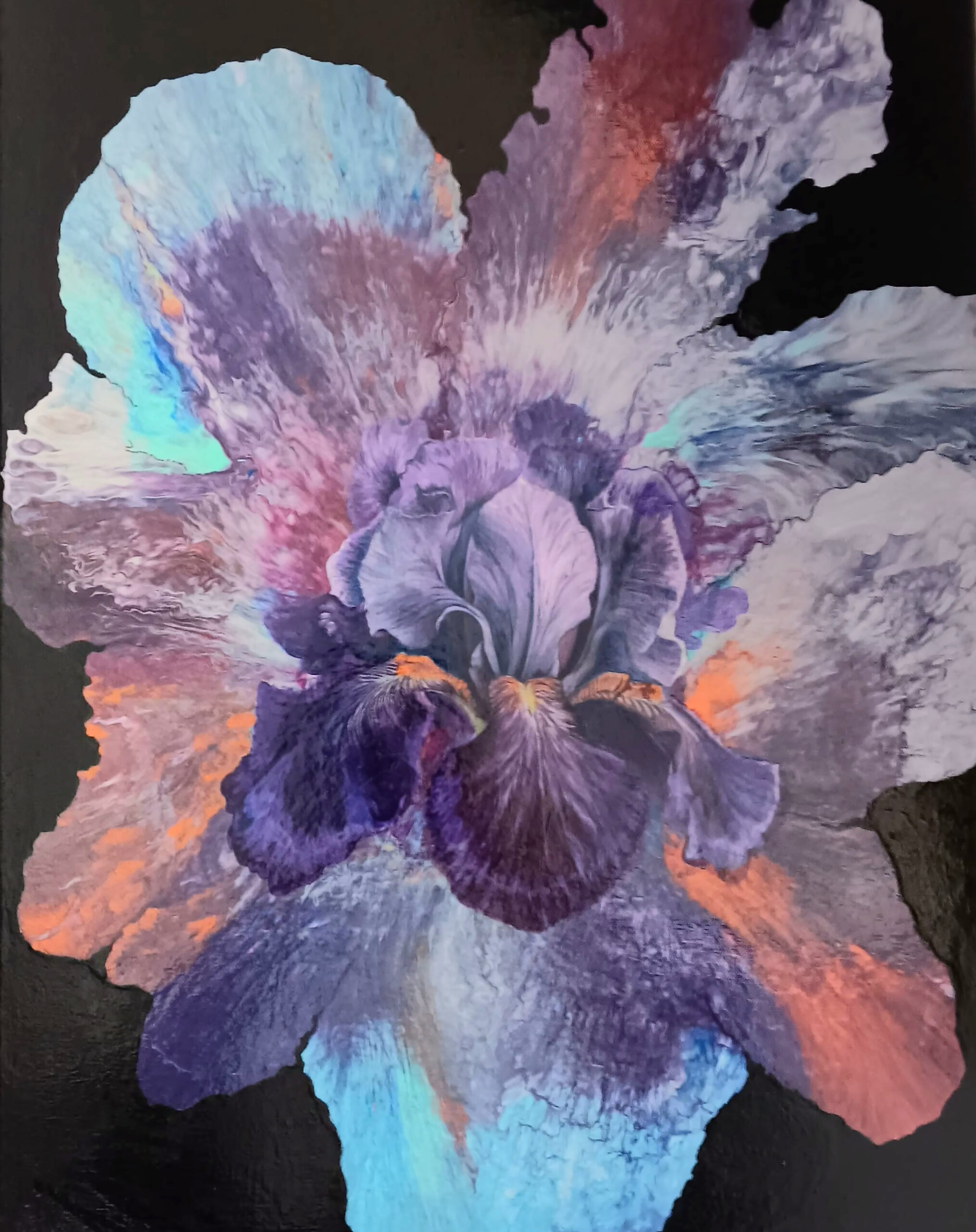 'Blue Iris' by Jo Holohan